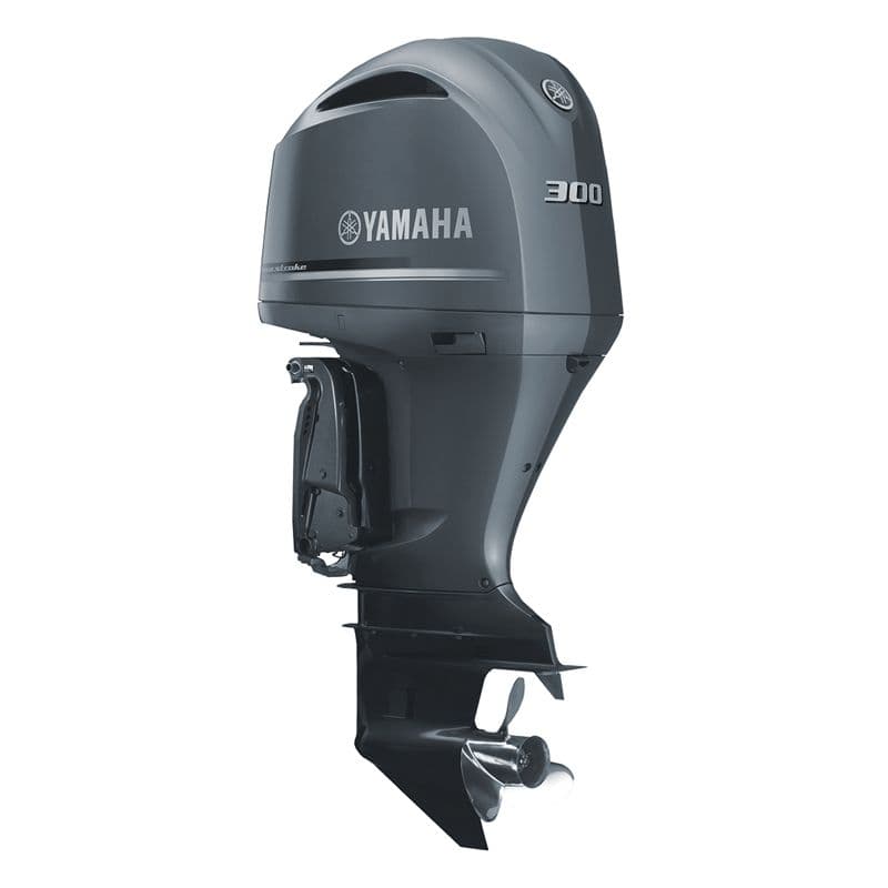 Yamaha F300NCB